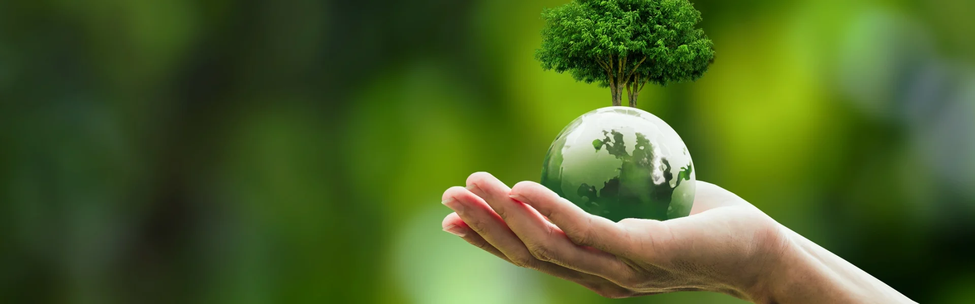 ecoturismo - prodotti ecosostenibili