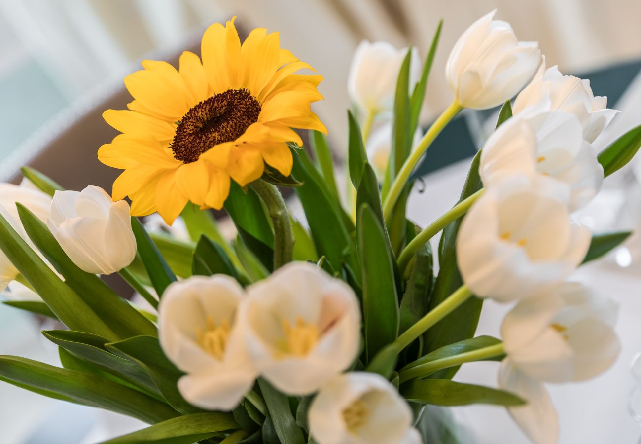 Ferienwohnung in Venedig - Gondolieri Terrace Apartment Ferienwohnung in Venedig - Gondolieri Terrace Apartment