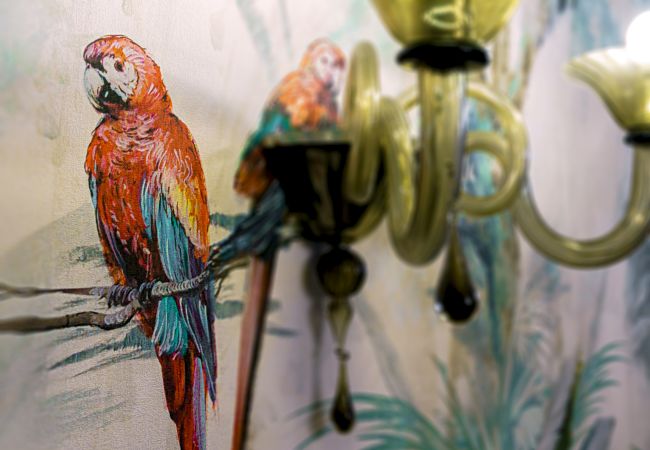 Appartamento a Venezia - Ca' Mainella Grand Canal Appartamento a Venezia - Ca' Mainella Grand Canal