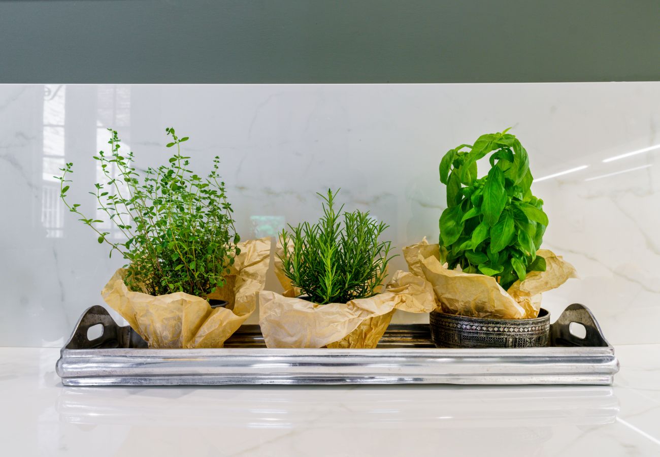 Appartamento a Venezia - Corte della Palma Appartamento a Venezia - Corte della Palma