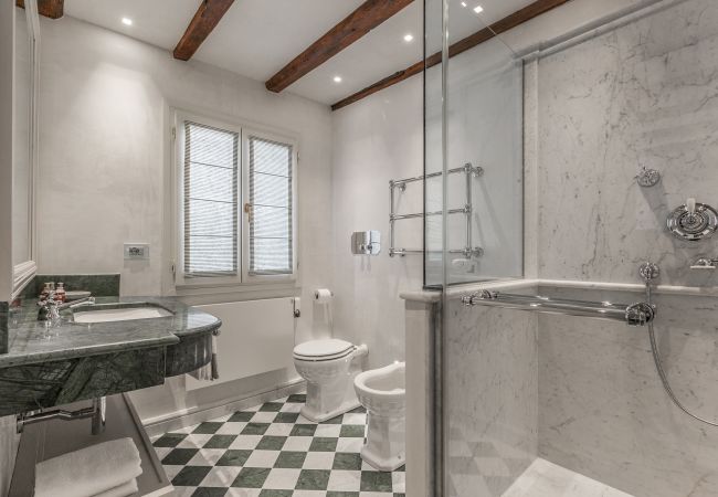 Apartment in Venezia - Ca' Dell'Opera Terrace Apartment in Venezia - Ca' Dell'Opera Terrace